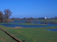 NL, Gelderland, West Betuwe, Varik 2, Saxifraga-Jan van der Straaten