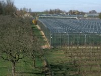 NL, Gelderland, West Betuwe, Varik 7, Saxifraga-Jan van der Straaten