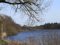 NL, Gelderland, Wijchen, Wijchensche Vennen 201, Saxifraga-Hans Boll