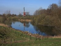 NL, Gelderland, Wijchen, Wijchensche Vennen 245, Saxifraga-Hans Boll