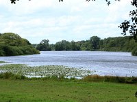 NL, Gelderland, Wijchen, Wijchensche Vennen 33, Saxifraga-Hans Boll