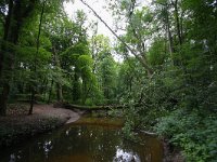 NL, Gelderland, Winterswijk, Boven Slinge 4, Saxifraga-Bart Vastenhouw