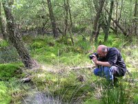 NL, Gelderland, Winterswijk, Wooldse Veen 4, Saxifraga-Henk Sierdsema