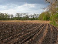 NL, Gelderland, Winterswijk, near Winterswijk 1, Saxifraga-Tom Heijnen