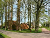 NL, Gelderland, Winterswijk, near Winterswijk 3, Saxifraga-Tom Heijnen