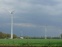 NL, Gelderland, Winterswijk, near Winterswijk 4, Saxifraga-Tom Heijnen