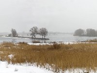 Winterlandschap Afgedamde Maas  Winter landscape along the river Meuse near Poederoijen, Gelderland, Netherlands : color, colour, countryside, Europe European, Gelderland, groin groyne, Holland, horizontal, ice icy, Netherlands, panorama, panoramic, reed, river, riverscape, rural, rural landscape, snow snowy, stream, water, winter