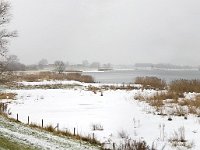 Winterlandschap Afgedamde Maas  Winter landscape along the river Meuse near Poederoijen, Gelderland, Netherlands : Europe European, Gelderland, Holland, Netherlands, color, colour, countryside, dike, groin groyne, horizontal, ice icy, panorama, panoramic, reed, river, riverscape, rural, rural landscape, snow snowy, stream, water, winter