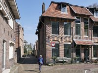 NL, Gelderland, Zaltbommel, Kerkstraat 1, Saxifraga-Tom Heijnen