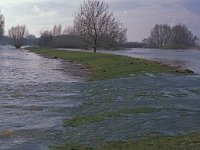 NL, Gelderland, Zaltbommel, Munniklenland 9,  Saxifraga-Jan van der Straaten