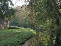 NL, Gelderland, Zaltbommel, Singelwal 3, Saxifraga-Tom Heijnen