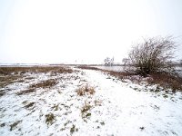 NL, Gelderland, Zutphen, IJssel 15, Saxifraga-Bart Vastenhouw