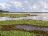 NL, Groningen, Het Hogeland, Achter de Zwarte 1, Saxifraga-Hans Boll