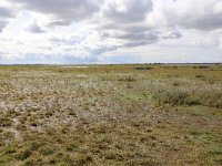 NL, Groningen, Het Hogeland, De Rug 7, Saxifraga-Hans Boll