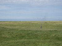 NL, Groningen, Het Hogeland, Noordpolderzijl 12, Saxifraga-Willem van Kruijsbergen