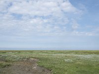 NL, Groningen, Het Hogeland, Noordpolderzijl 21, Saxifraga-Willem van Kruijsbergen