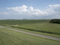 NL, Groningen, Het Hogeland, Noordpolderzijl 29, Saxifraga-Willem van Kruijsbergen