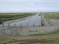 NL, Groningen, Het Hogeland, Noordpolderzijl 3, Saxifraga-Willem van Kruijsbergen