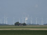 NL, Groningen, Het Hogeland, Noordpolderzijl 32, Saxifraga-Willem van Kruijsbergen