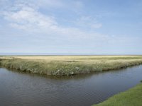 NL, Groningen, Het Hogeland, Noordpolderzijl 34, Saxifraga-Willem van Kruijsbergen