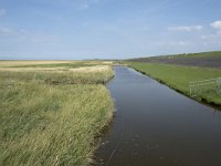 NL, Groningen, Het Hogeland, Noordpolderzijl 35, Saxifraga-Willem van Kruijsbergen