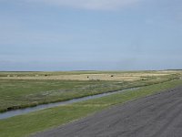 NL, Groningen, Het Hogeland, Noordpolderzijl 5, Saxifraga-Willem van Kruijsbergen