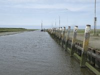 NL, Groningen, Het Hogeland, Noordpolderzijl 7, Saxifraga-Willem van Kruijsbergen