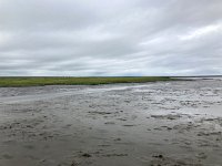 NL, Groningen, Het Hogeland, Pieterburen 13, Saxifraga-Willem van Kruijsbergen