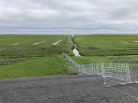 NL, Groningen, Het Hogeland, Pieterburen 2, Saxifraga-Willem van Kruijsbergen