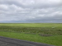 NL, Groningen, Het Hogeland, Pieterburen 3, Saxifraga-Willem van Kruijsbergen