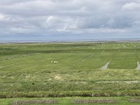 NL, Groningen, Het Hogeland, Pieterburen 74, Saxifraga-Willem van Kruijsbergen