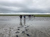 NL, Groningen, Het Hogeland, Pieterburen 77, Saxifraga-Willem van Kruijsbergen