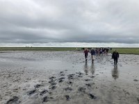 NL, Groningen, Het Hogeland, Pieterburen 78, Saxifraga-Willem van Kruijsbergen