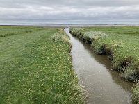 NL, Groningen, Het Hogeland, Pieterburen 8, Saxifraga-Willem van Kruijsbergen