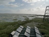 NL, Groningen, Het Hogeland, Rottumeroog 11, Saxifraga-Mark Zekhuis