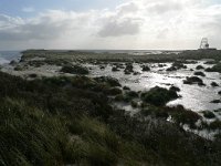 NL, Groningen, Het Hogeland, Rottumeroog 6, Saxifraga-Mark Zekhuis