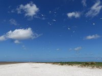 NL, Groningen, Het Hogeland, Rottumeroog, Zuiderduin 2, Saxifraga-Mark Zekhuis