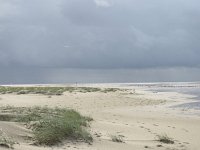 NL, Groningen, Het Hogeland, Rottummeroog  38, Saxifraga-Mark Zekhuis