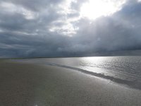 NL, Groningen, Het Hogeland, Rottummeroog  41, Saxifraga-Mark Zekhuis