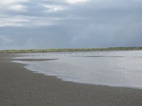 NL, Groningen, Het Hogeland, Rottummeroog  43, Saxifraga-Mark Zekhuis