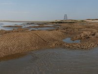 NL, Groningen, Het Hogeland, Rottummeroog 28, Saxifraga-Mark Zekhuis