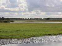 NL, Groningen, Het Hogeland, Schildhoek 5, Saxifraga-Hans Boll