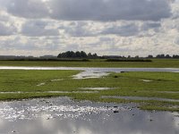 NL, Groningen, Het Hogeland, Schildhoek 6, Saxifraga-Hans Boll