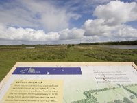 NL, Groningen, Midden-Groningen, Westerbroek 26, Saxifraga-Jaap Schelvis : Westerbroek