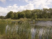 NL, Groningen, Midden-Groningen, Westerbroek 30, Saxifraga-Jaap Schelvis : Westerbroek