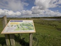 NL, Groningen, Midden-Groningen, Westerbroek 32, Saxifraga-Jaap Schelvis : Westerbroek