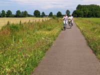 NL, Groningen, Stadskanaal, Alteveer 2, Saxifraga-Hans Dekker