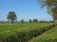 NL, Groningen, Stadskanaal, Alteveer 6, Saxifraga-Hans Dekker