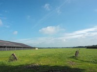 NL, Groningen, Stadskanaal, Alteveer 9, Saxifraga-Hans Dekker