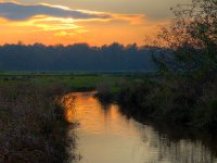 Sunset over small rural river  Sunset over small rural river in nature reserve : Netherlands, agrarische, agricultural, agriculture, aparte, beek, beekdal, blauw, blue, boom, bossen, country, countryside, creative nature, creek, dageraad, dawn, dusk, field, flowing, geel, gras, grass, green, groen, groningen, holland, kreek, laagland, land, landbouw, landelijk, landscape, landschap, lowland, lucht, mirror, nature, natuur, nederland, orange, oranje, platteland, reflectie, reflection, river, rivier, rudmer zwerver, ruiten aa, rural, schemering, seperate, serene, sky, spiegel, stream, stroom, summer, sunrise, sunset, tree, veld, vloeiend, water, woods, yellow, zomer, zonsondergang, zonsopgang